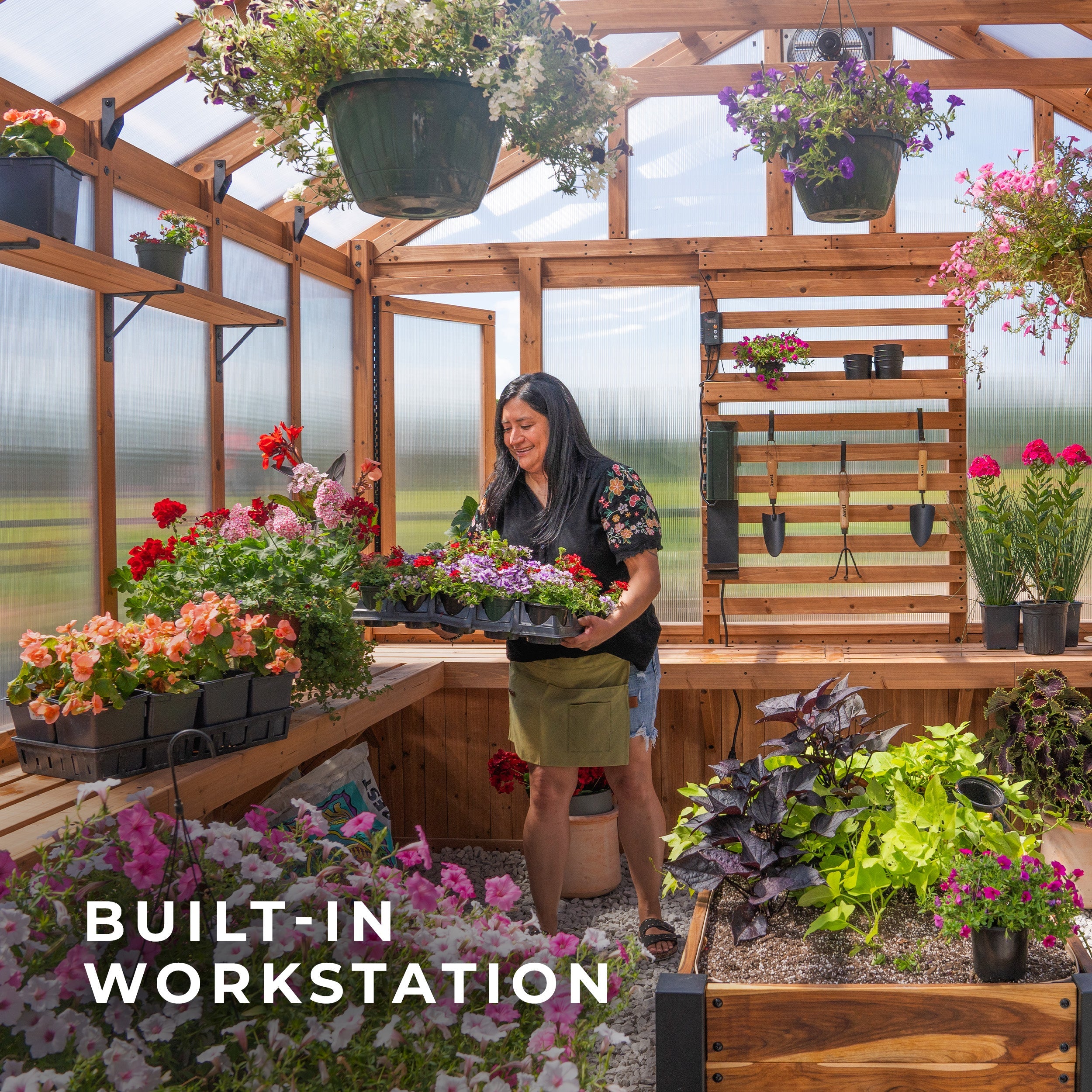 13x11 Bellerose XL Greenhouse
