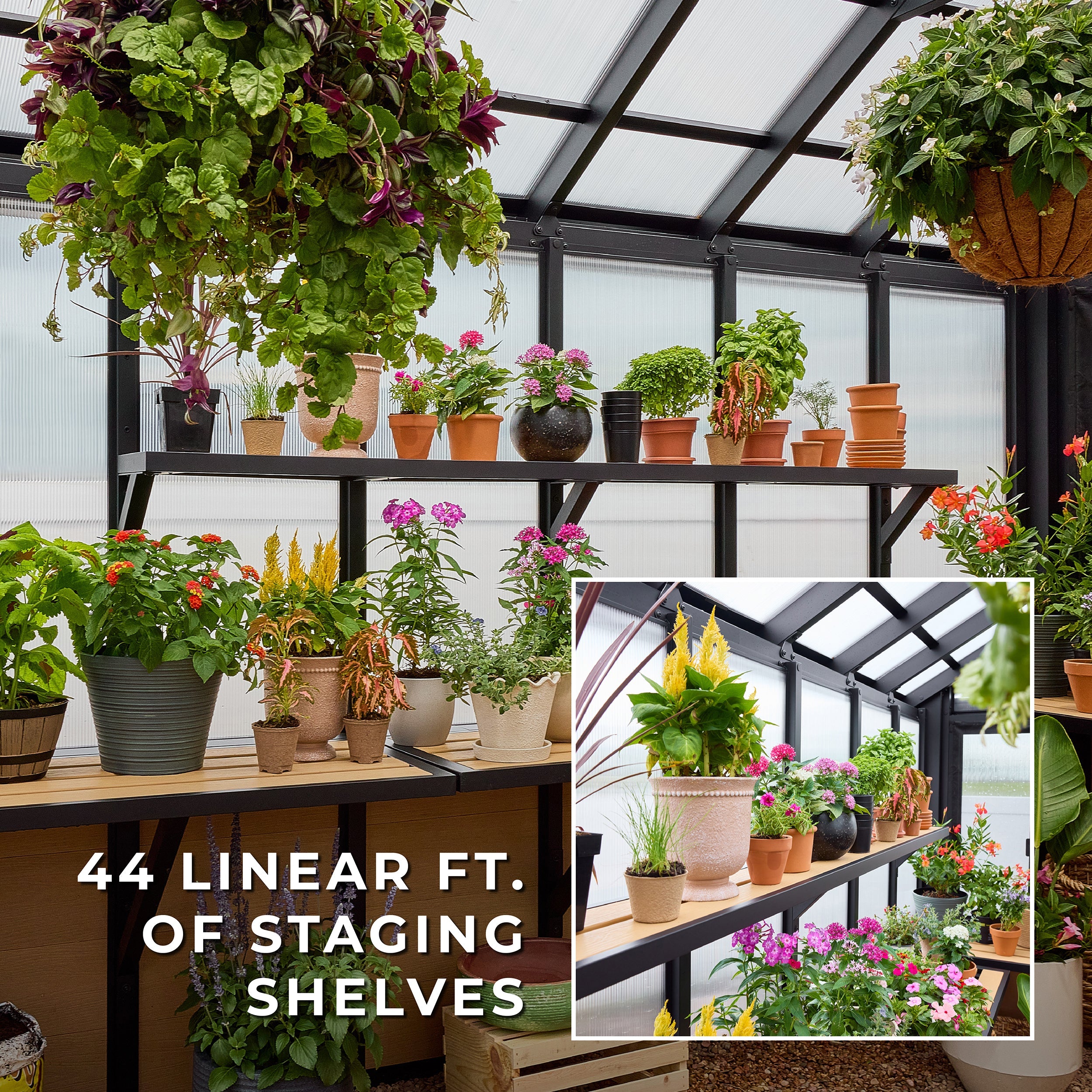 14 X 12 Larkspur Metal Greenhouse