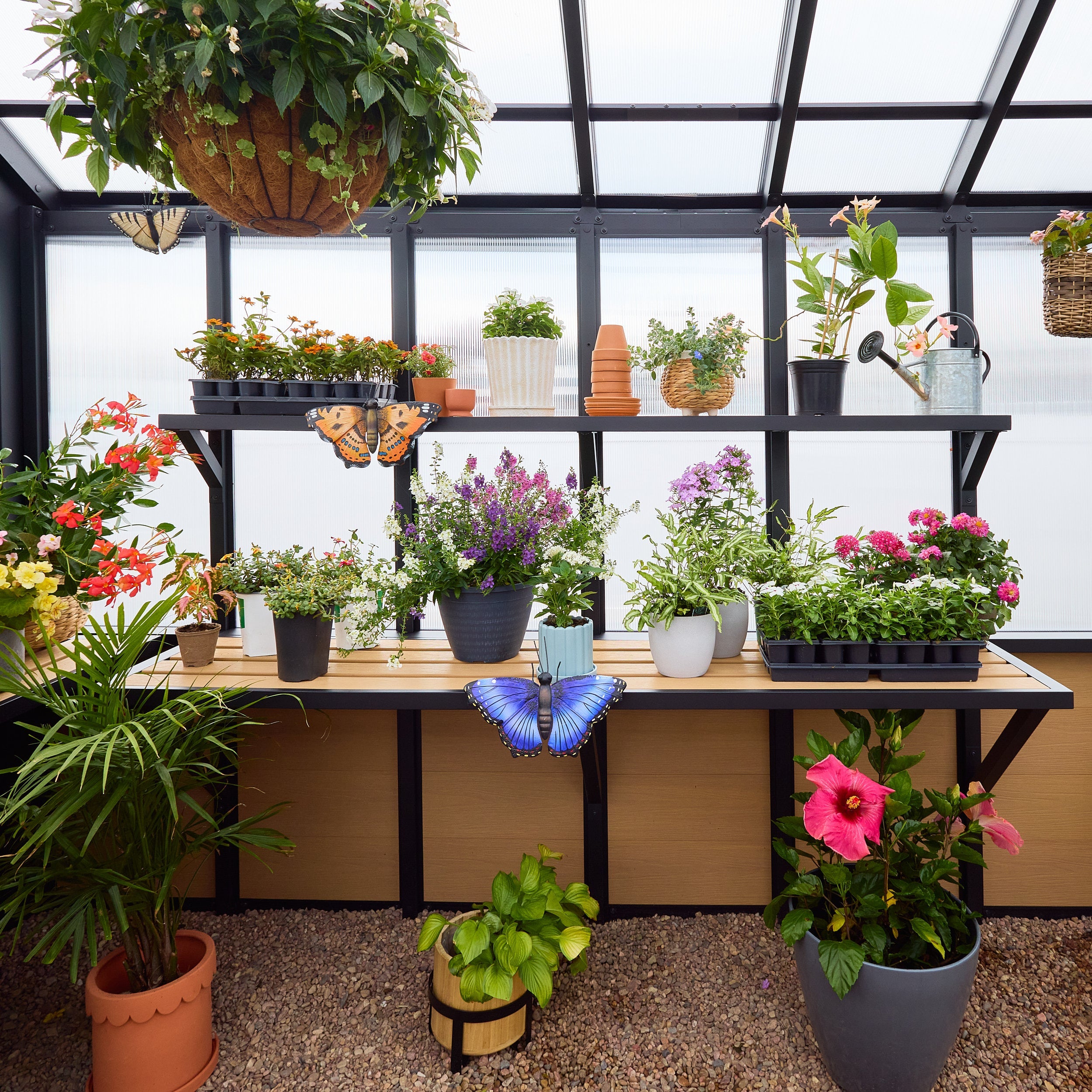 14 X 12 Larkspur Metal Greenhouse